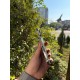 Смартфон Apple iPhone 13 Pro 256Gb (Graphite) Б/У