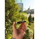 Смартфон Apple iPhone 13 Pro 256Gb (Graphite) Б/У