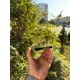Смартфон Apple iPhone 13 Pro Max 256Gb (Alpine Green) Б/В
