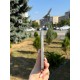 Смартфон Apple iPhone 15 Pro 128Gb (White Titanium) Б/В