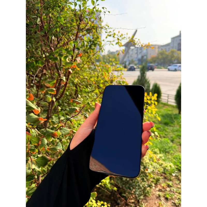 Смартфон Apple iPhone 15 Pro Max 256Gb (Blue Titanium) Б/В